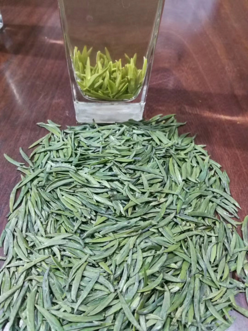 绿茶