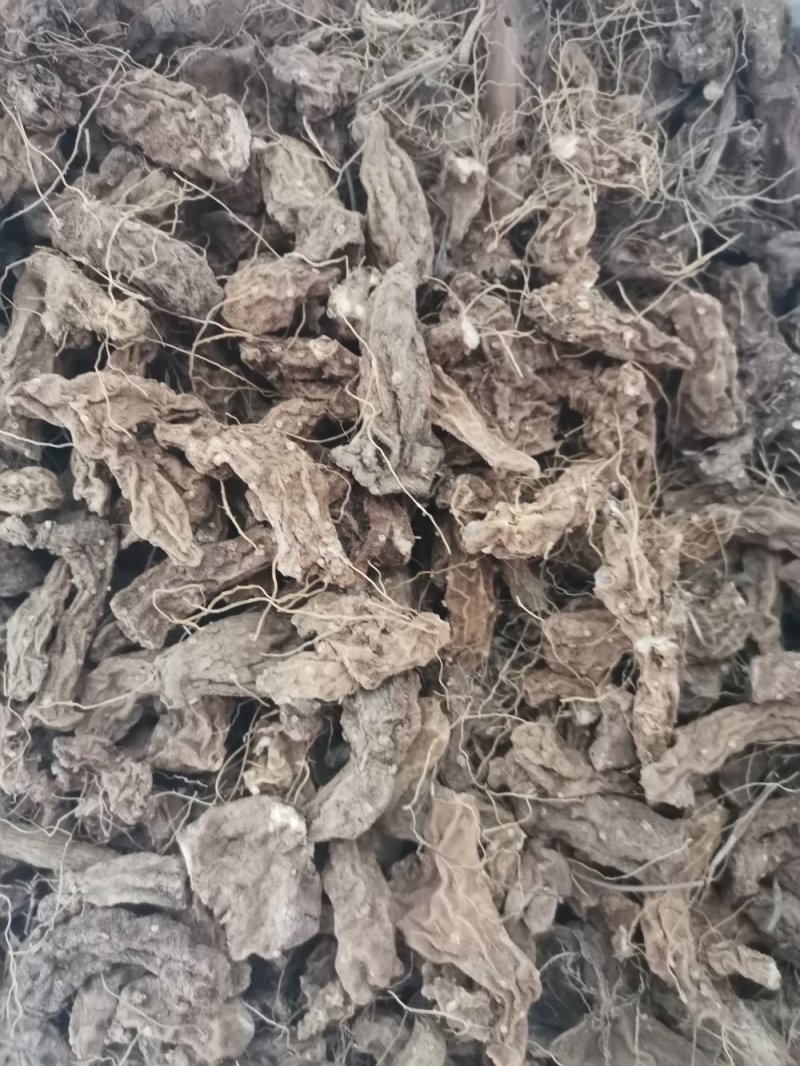 老黄姜新鲜现挖黄姜，黄山药，皂素提取