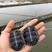 草龟1−5两、地摊小乌龟、外塘中华草龟、活体放生龟