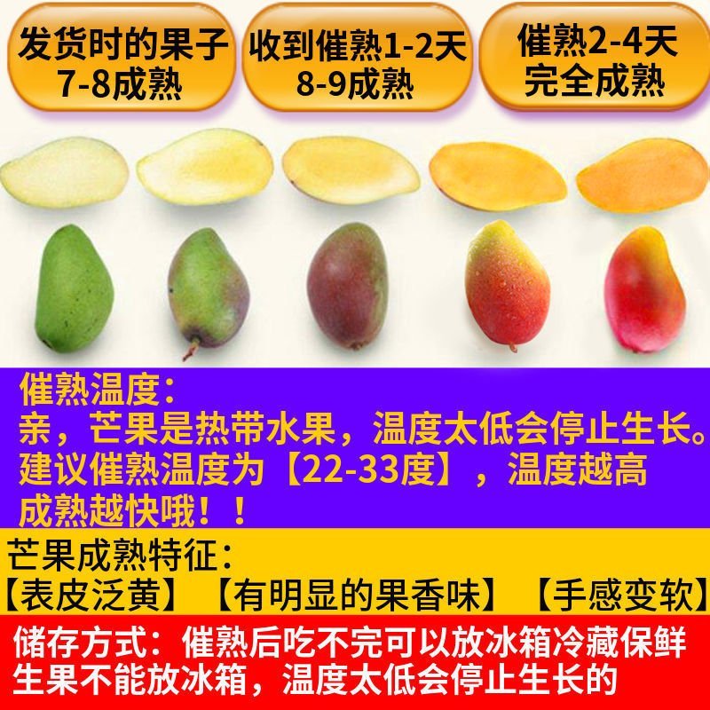 现摘广西贵妃芒果水果新鲜红金龙应季热带芒果10斤/5斤