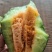 博洋九甜瓜苗甜度高花皮脆甜品种直播嫁接苗