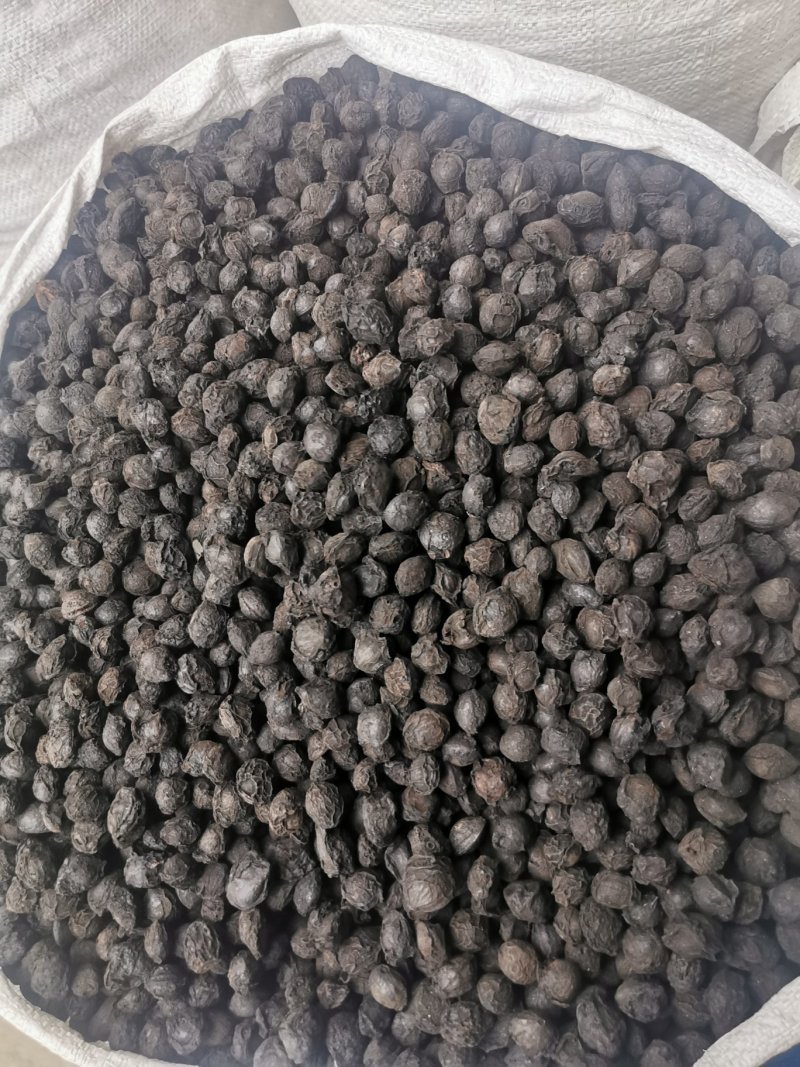 乌梅乌梅干乌梅产地直销量大从优一手货源