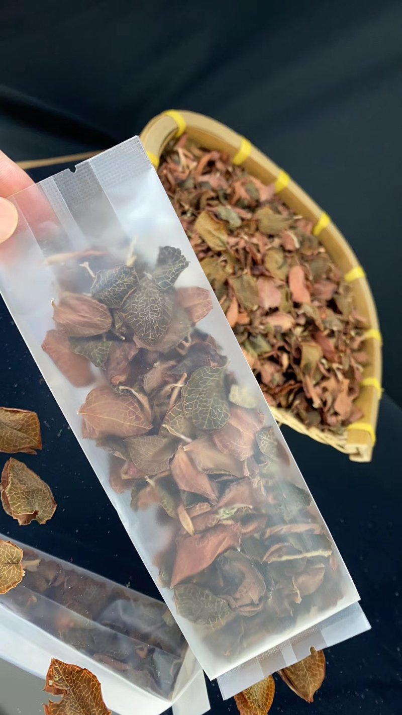福建南靖产地金线莲全叶茶泡