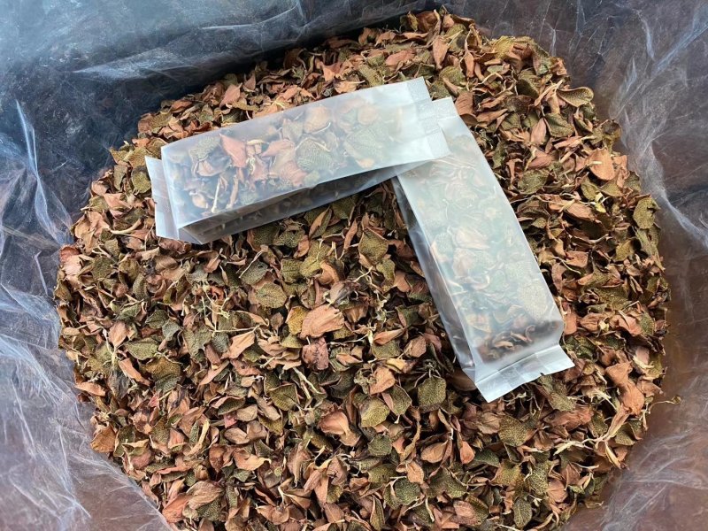 福建南靖产地金线莲全叶茶泡