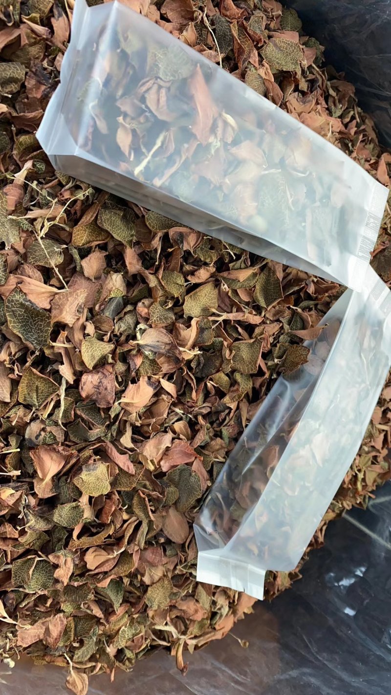 福建南靖产地金线莲全叶茶泡