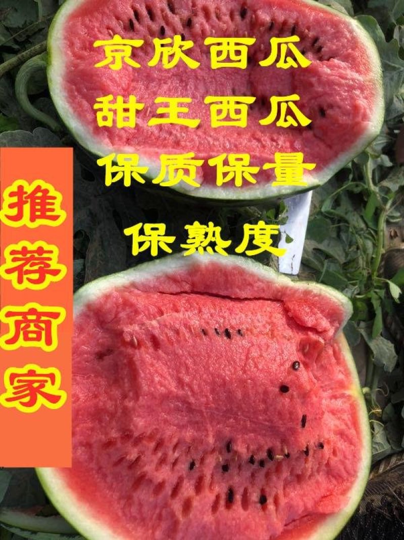 陕西甜王大量供应，小薄皮，双红瓤，糖度高，保质保量