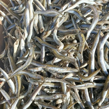 银针鱼，熟的，微咸，就一根主刺，鱼小肉厚，口感好。