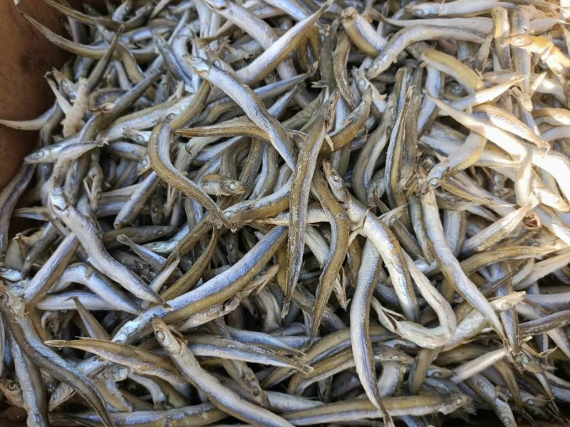 银针鱼，熟的，微咸，就一根主刺，鱼小肉厚，口感好。