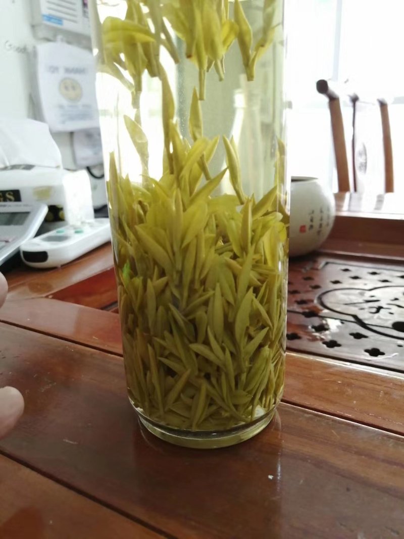 明前黄金茶