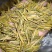 明前黄金茶