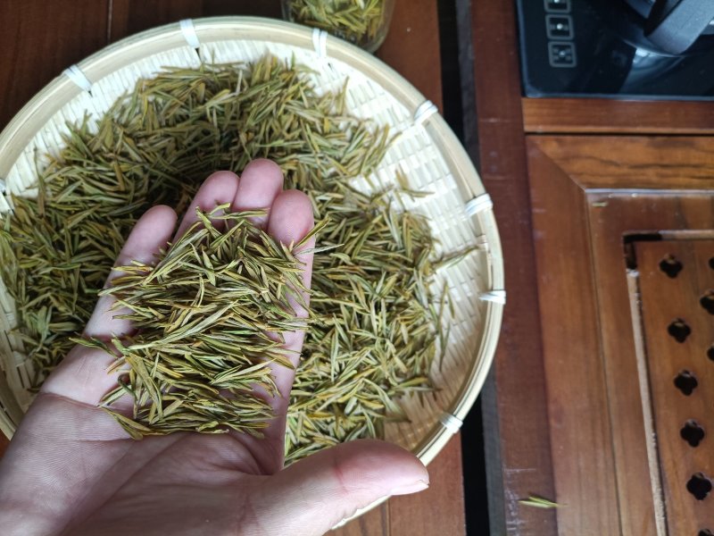 明前黄金茶