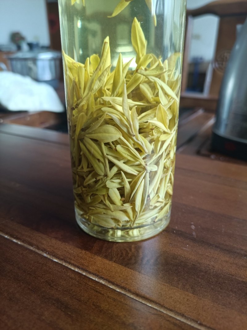 明前黄金茶