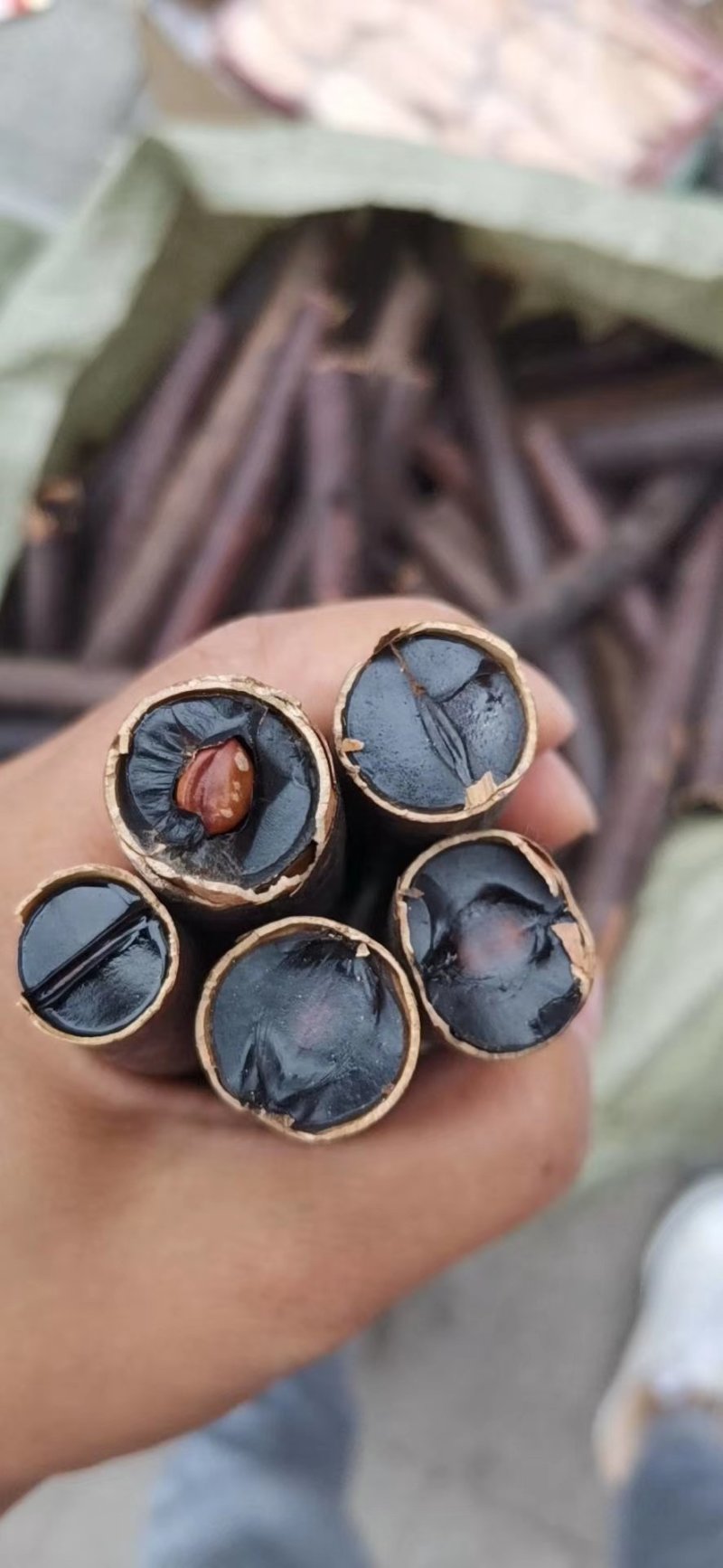 上等正宗便秘果腊肠果肠道果批发各种中药材