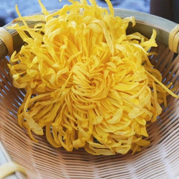 金丝皇菊，一朵泡一杯茶，一朵一袋独立小包大货