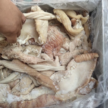 牛小肠牛大肠一手货源厂家直销运费自付质量保证