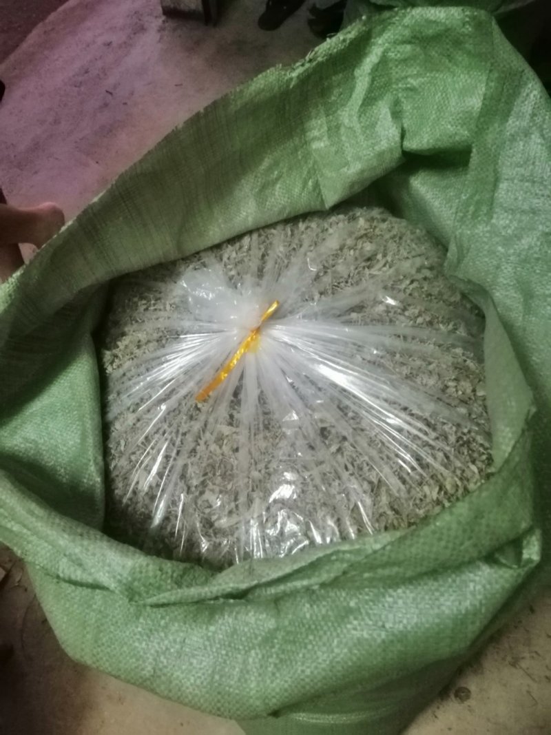 瑶族深山的野生藤茶，藤婆茶，