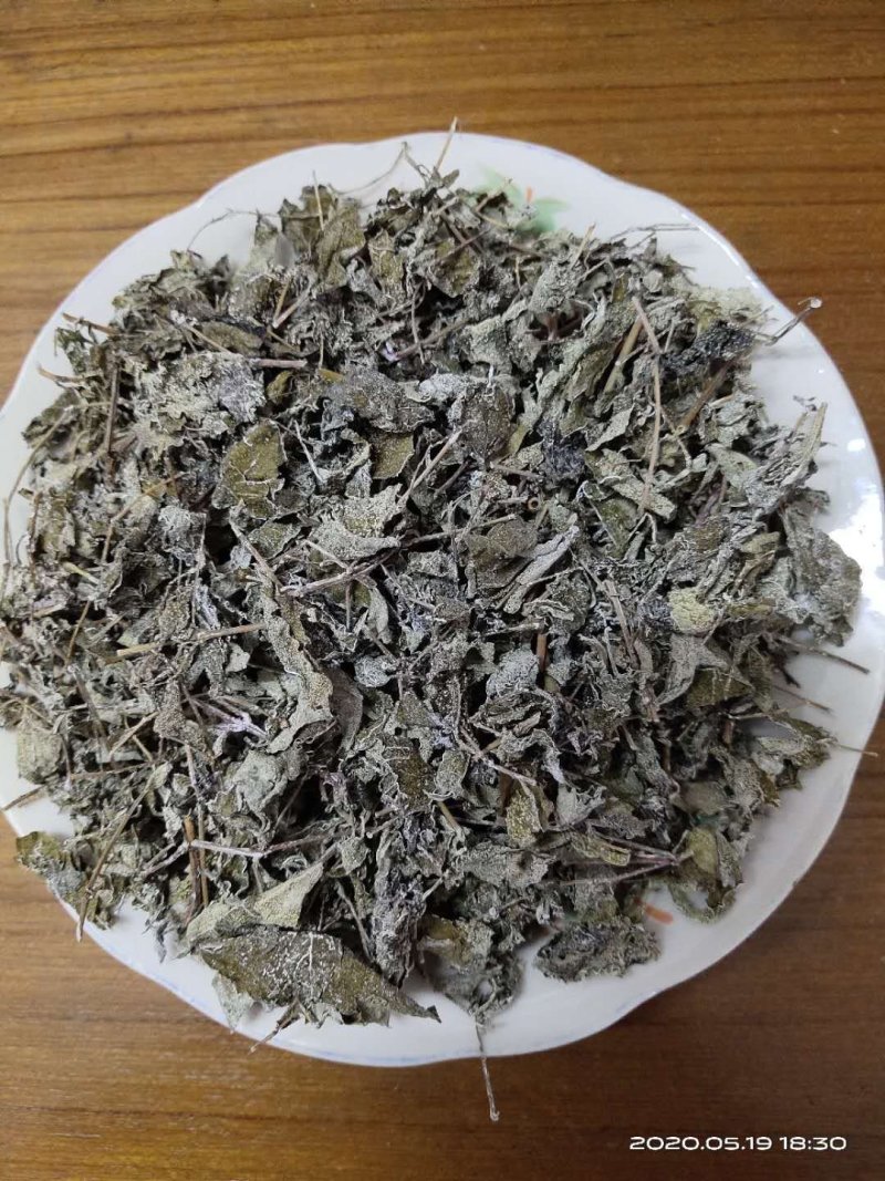 瑶族深山的野生藤茶，藤婆茶，