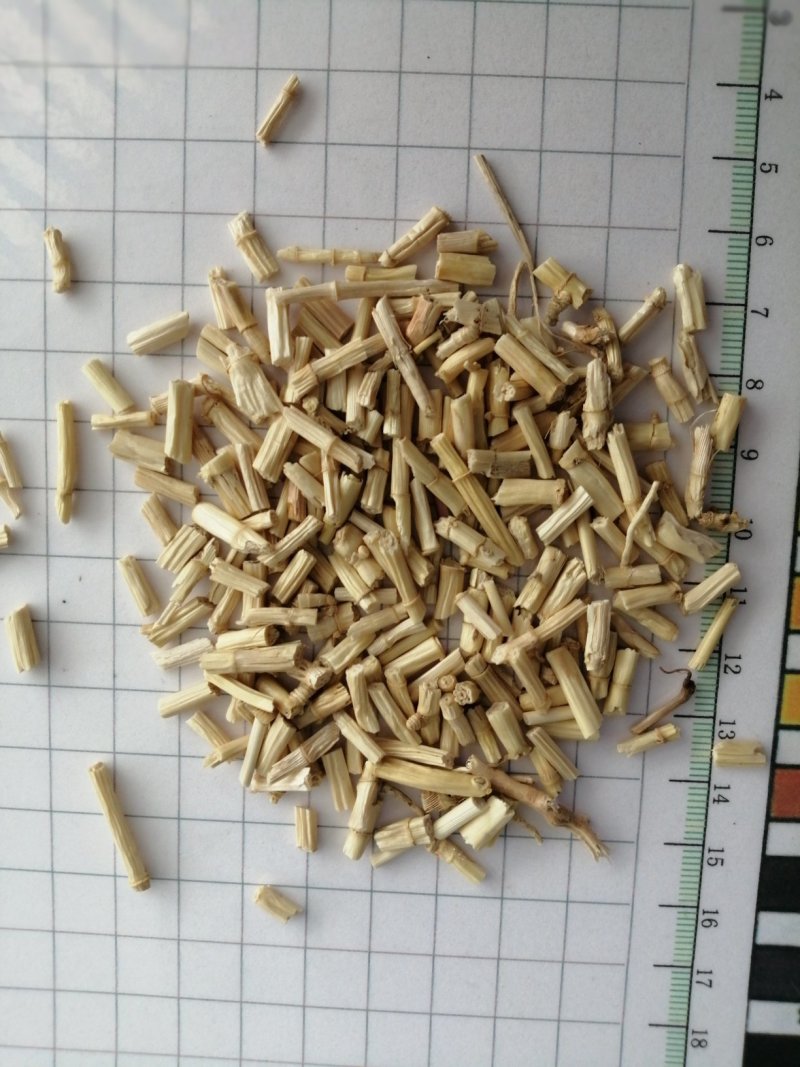 白茅根，货干色白，干净无杂质，大量现货供应