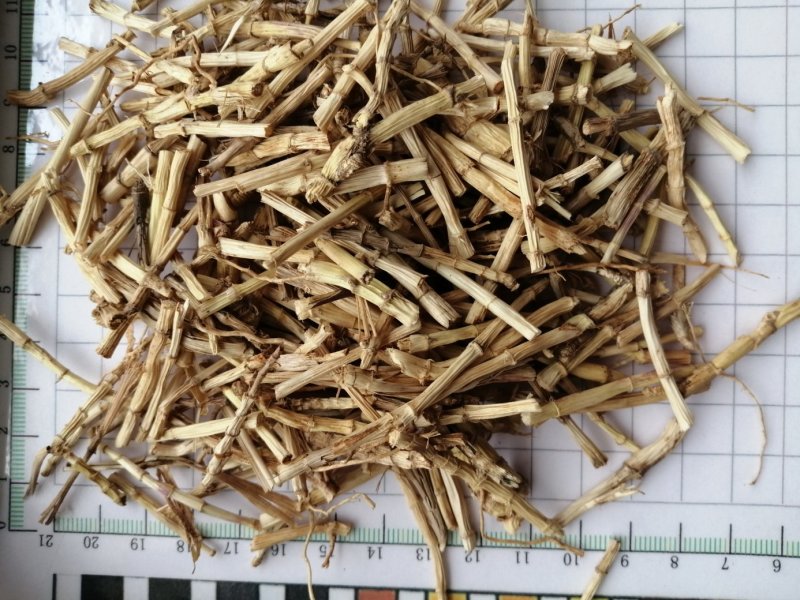 白茅根，货干色白，干净无杂质，大量现货供应