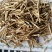 白茅根，货干色白，干净无杂质，大量现货供应