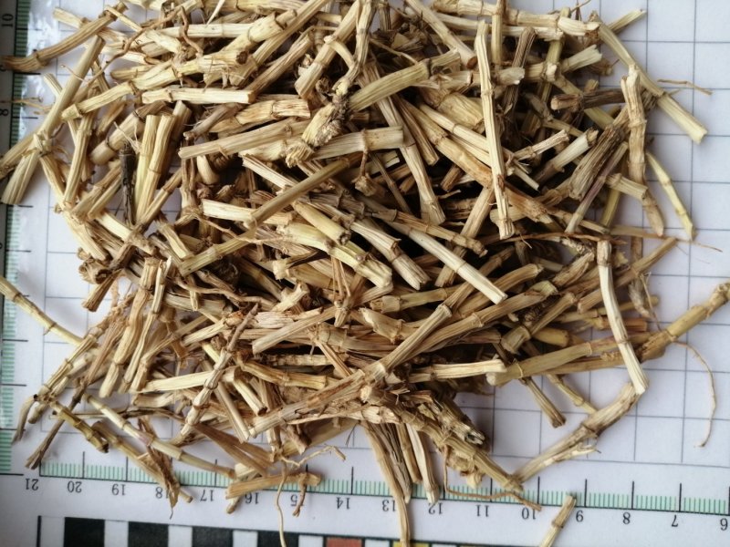 白茅根，货干色白，干净无杂质，大量现货供应