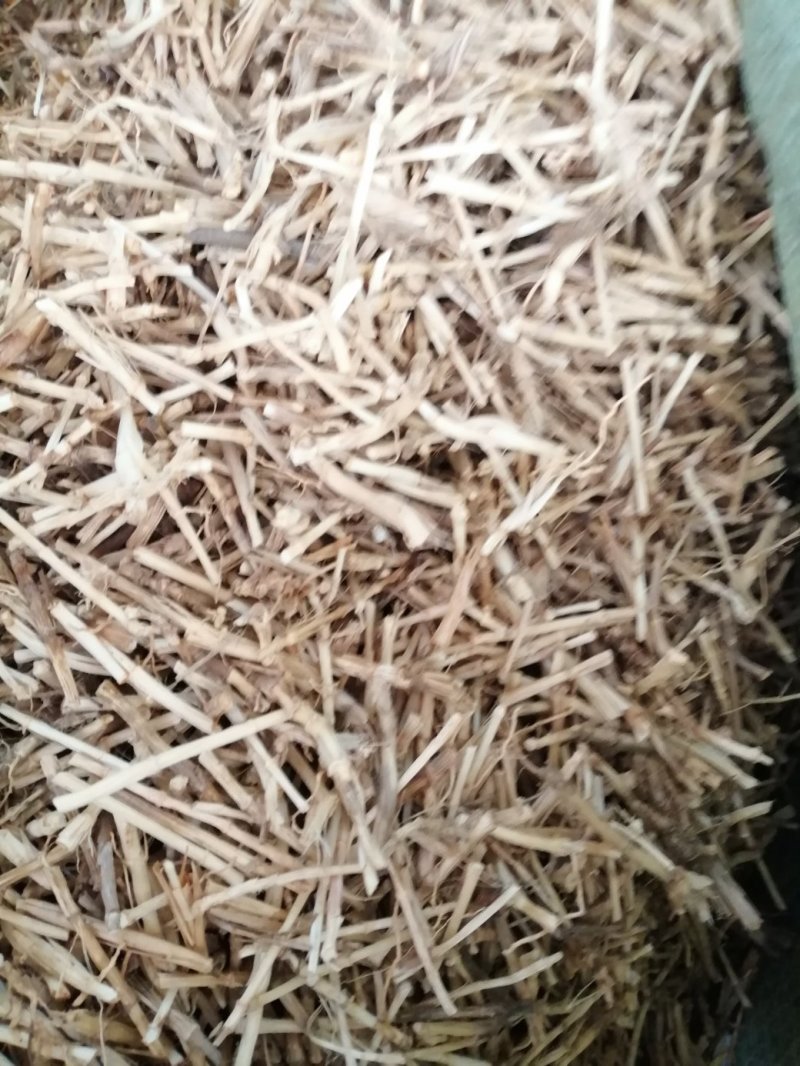 白茅根，货干色白，干净无杂质，大量现货供应