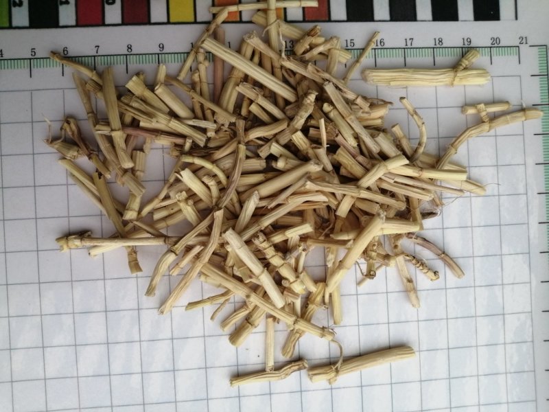 白茅根，货干色白，干净无杂质，大量现货供应