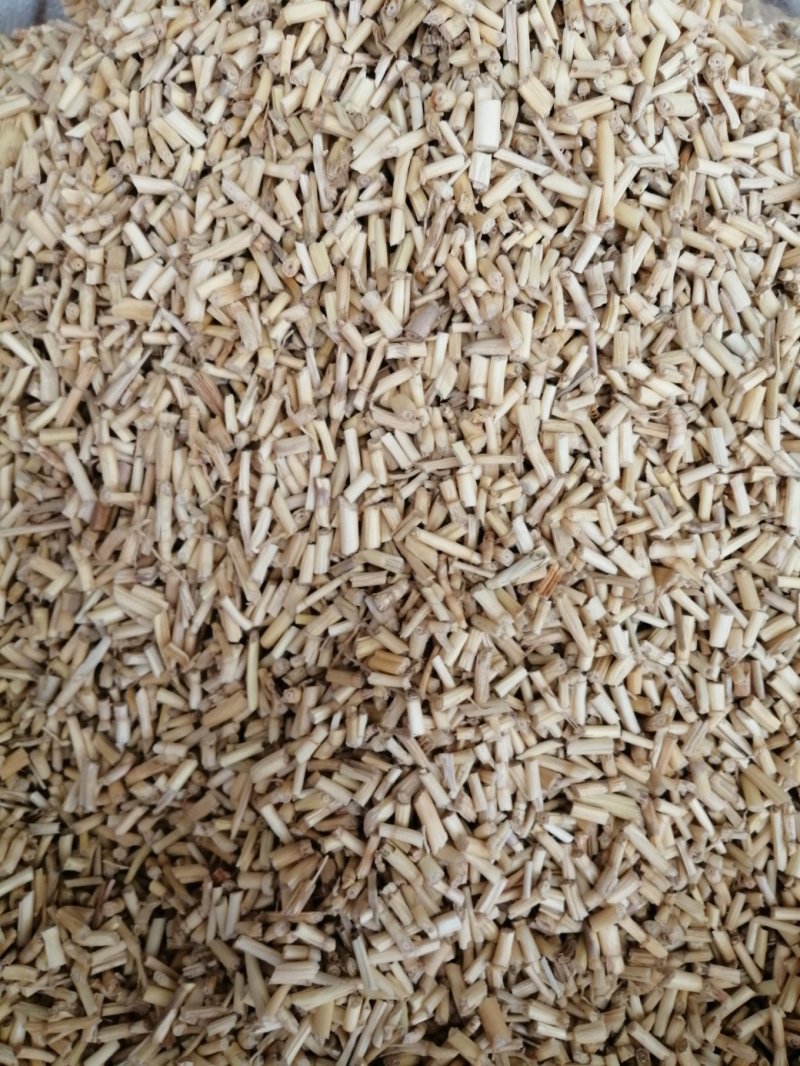 白茅根，货干色白，干净无杂质，大量现货供应