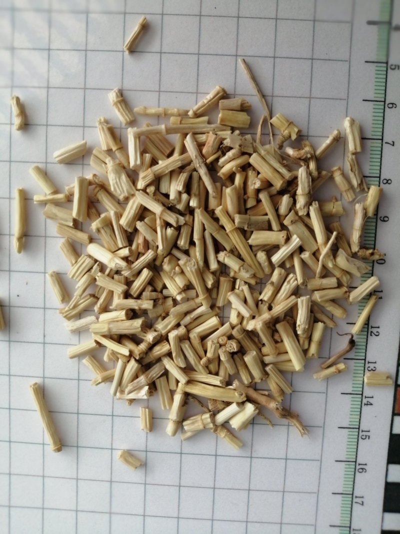 白茅根，货干色白，干净无杂质，大量现货供应