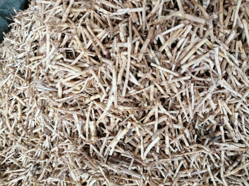 白茅根，货干色白，干净无杂质，大量现货供应