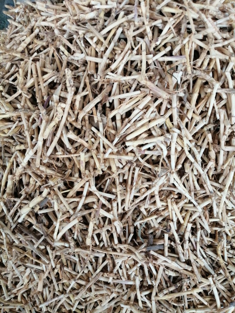 白茅根，货干色白，干净无杂质，大量现货供应