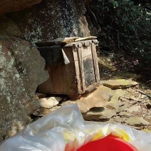 野生蜂蜜，深山野生蜂蜜山沟里的味道