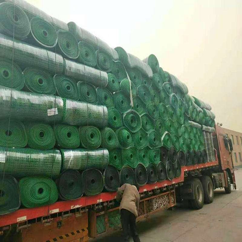 荷兰网果园网铁丝网圈地网护栏网玉米网防护网养殖网鱼塘围网