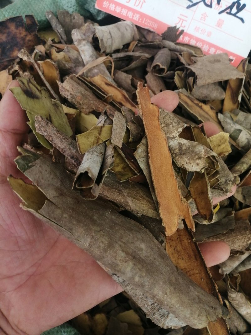 救必应，产地现货供应，进口与国产货均有，货干度好颜色漂亮