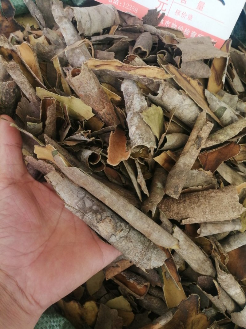 救必应，产地现货供应，进口与国产货均有，货干度好颜色漂亮