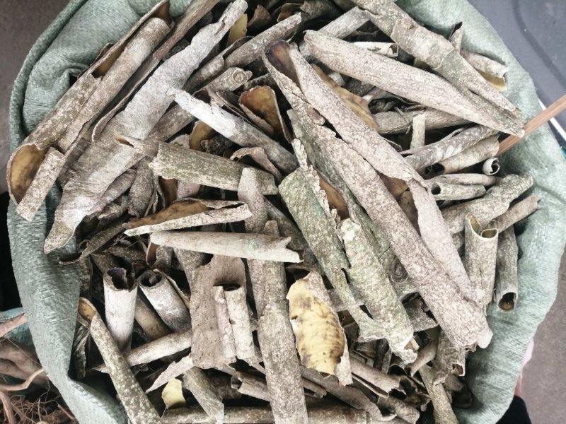 救必应，产地现货供应，进口与国产货均有，货干度好颜色漂亮