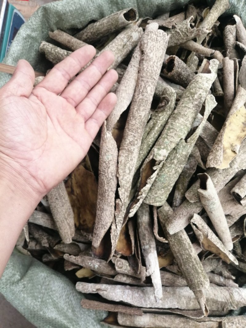 救必应，产地现货供应，进口与国产货均有，货干度好颜色漂亮