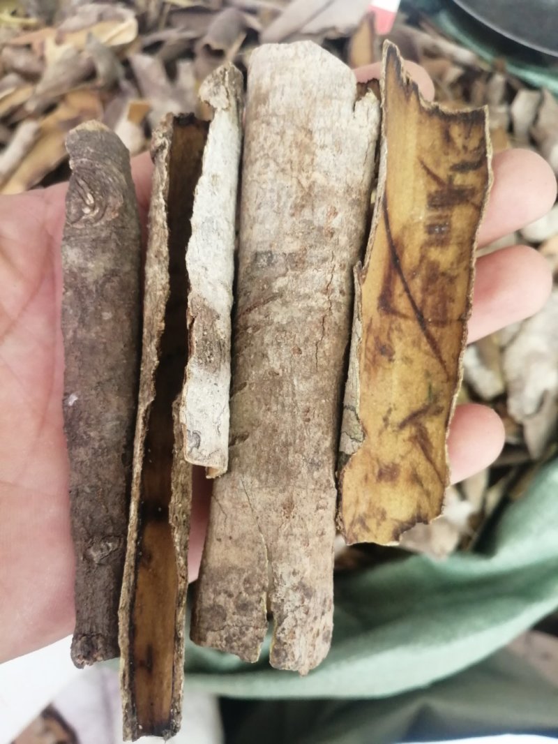 救必应，产地现货供应，进口与国产货均有，货干度好颜色漂亮