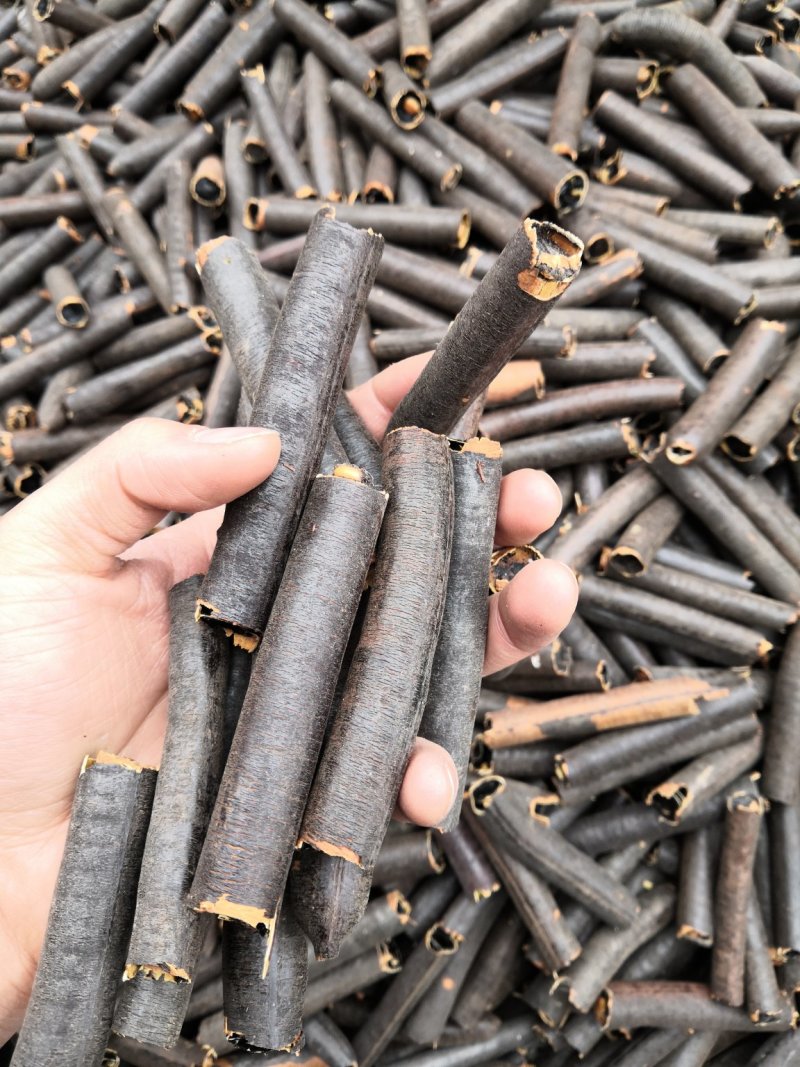 上等正宗便秘果腊肠果肠道果批发各种中药材
