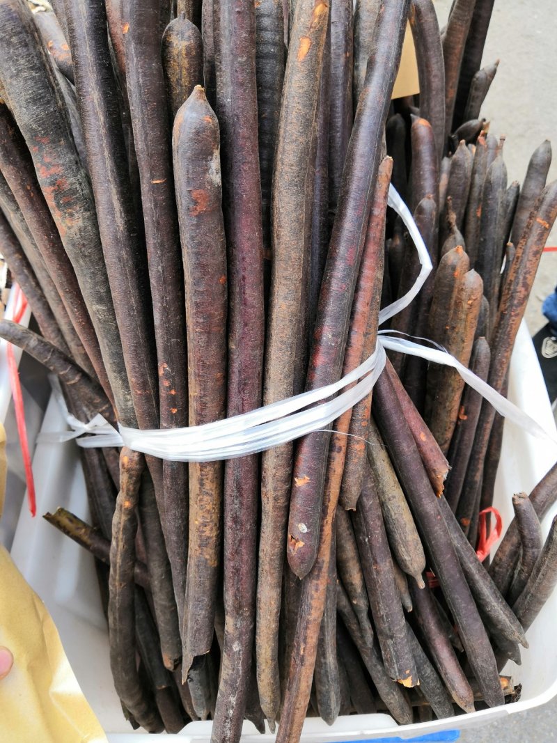 上等正宗便秘果腊肠果肠道果批发各种中药材