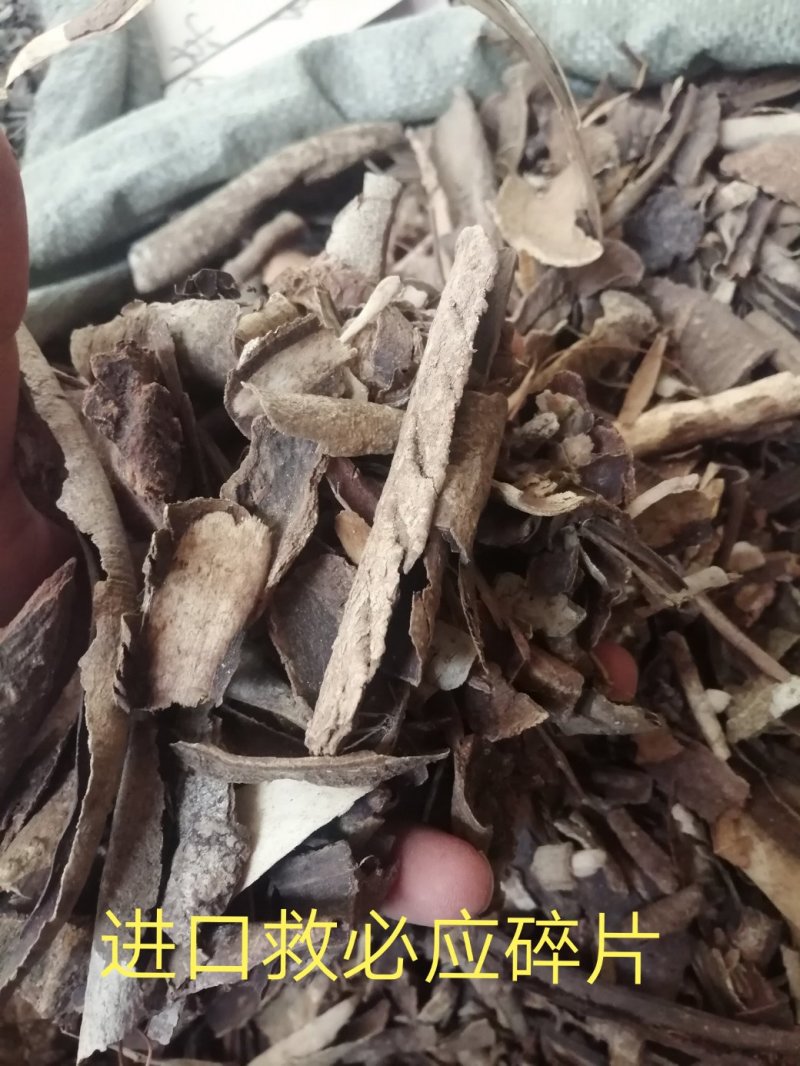 救必应，产地现货供应，进口与国产货均有，货干度好颜色漂亮