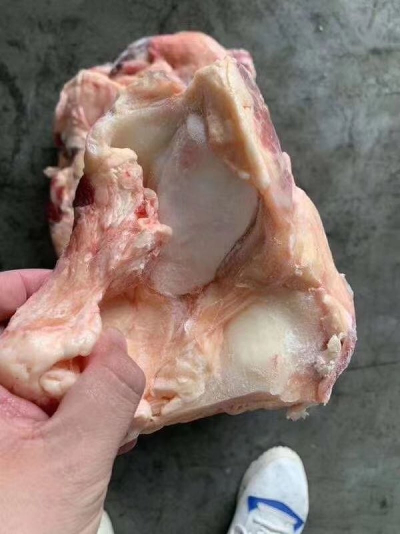 原装牛窝骨，牛膝盖骨，肉多筋满不肥，价格合适，手续齐全