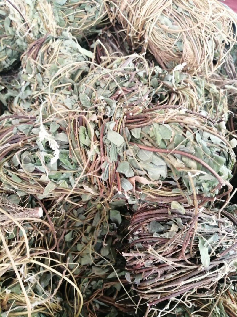 鸡骨草，广西特产鸡骨草，药食两用，现货供应