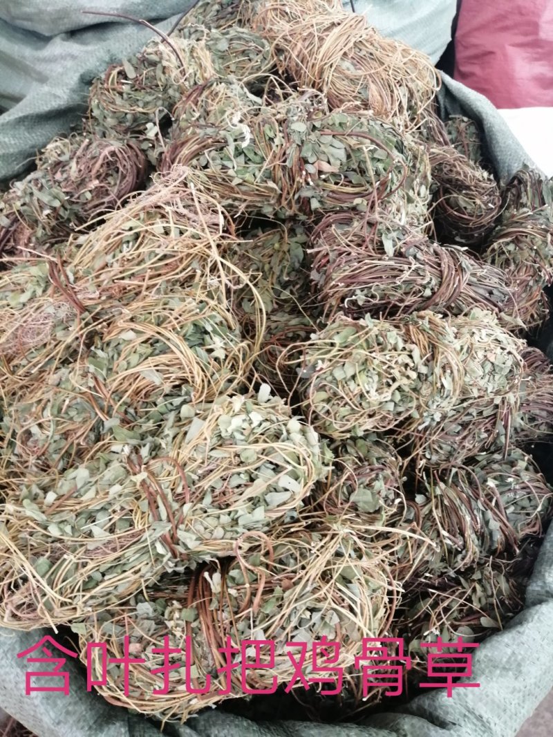 鸡骨草，广西特产鸡骨草，药食两用，现货供应