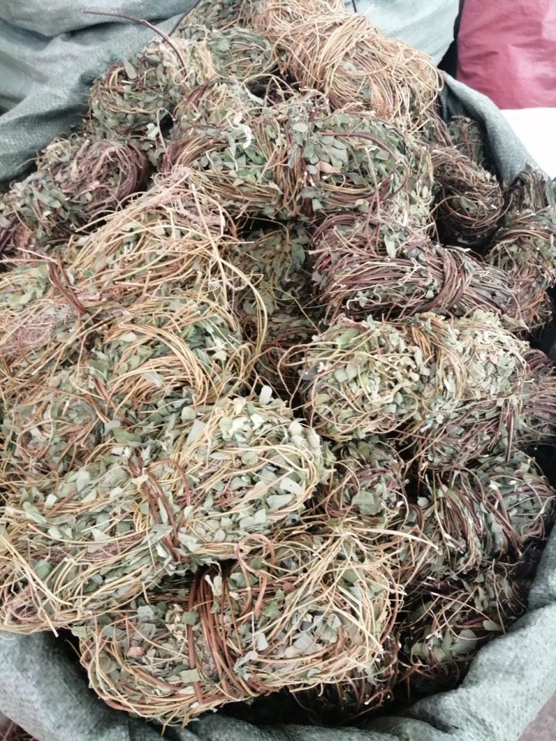 鸡骨草，广西特产鸡骨草，药食两用，现货供应
