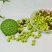 安徽芜湖莲蓬，（精品莲蓬）品质优