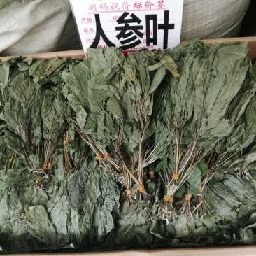人参叶，长白山人参叶，货干青绿扎小把，现货供应