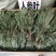 人参叶，长白山人参叶，货干青绿扎小把，现货供应