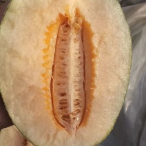 圣蜜冠35
