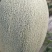 圣蜜冠35